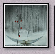  Prix : 1000$  -  Dimension  20" x 28" 